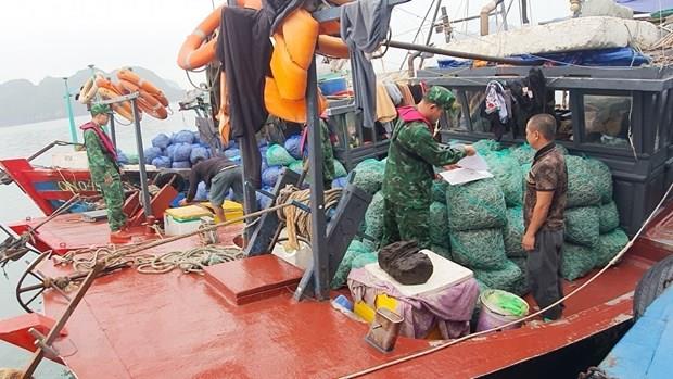 Bắt giữ 3 tàu khai thác thủy sản trái phép trên vùng biển Quảng Ninh