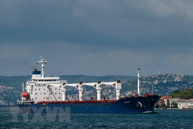 IMF cảnh báo hậu quả Nga rút khỏi Sáng kiến Ngũ cốc Biển Đen