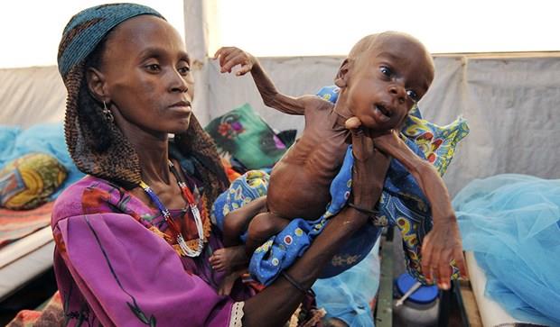 Niger ghi nhận 2 triệu người mất an ninh lương thực trầm trọng