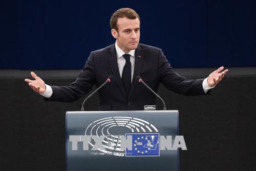 Tổng thống Pháp thừa nhận các cuộc không kích Syria không mang lại kết quả