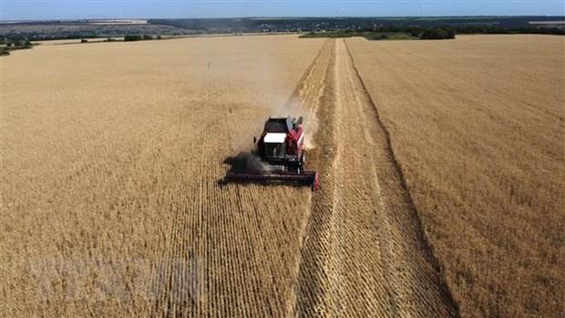 Cộng hòa Séc không có kế hoạch cấm nhập khẩu nông sản của Ukraine