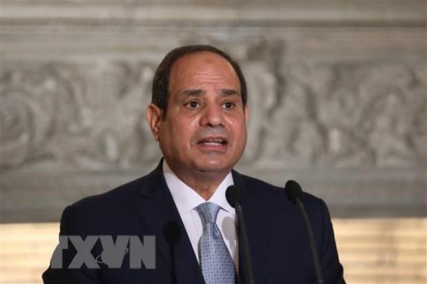 Tổng thống Ai Cập khẳng định ủng hộ tất cả nỗ lực để thúc đẩy hòa bình