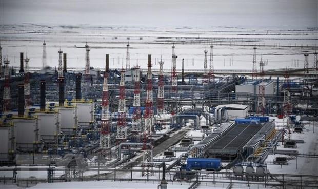 Nga lập kỷ lục về lượng khí đốt cung cấp cho Trung Quốc