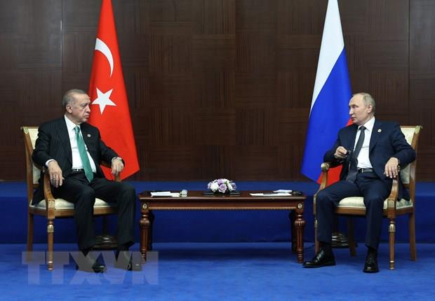 Tổng thống Nga, Thổ Nhĩ Kỳ điện đàm về nhà máy điện hạt nhân Akkuyu