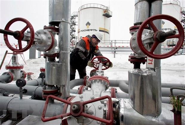 Gazprom vẫn tăng lượng khí đốt vận chuyển tới châu Âu qua Ukraine
