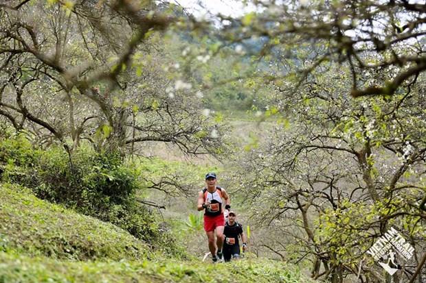 Gần 4.300 VĐV thi chạy qua những thung lũng hoa trắng ở Mộc Châu
