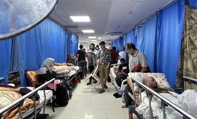 Tổ chức Y tế Thế giới kêu gọi sơ tán toàn bộ Bệnh viện Al-Shifa ở Dải Gaza