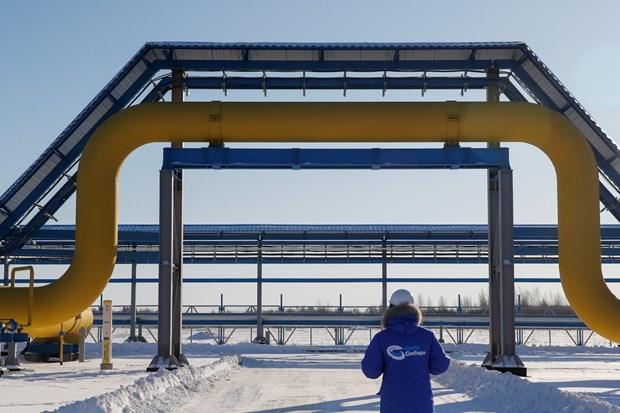Nga, Trung Quốc khai trương đường ống dẫn khí đốt đầu tiên giữa 2 nước
