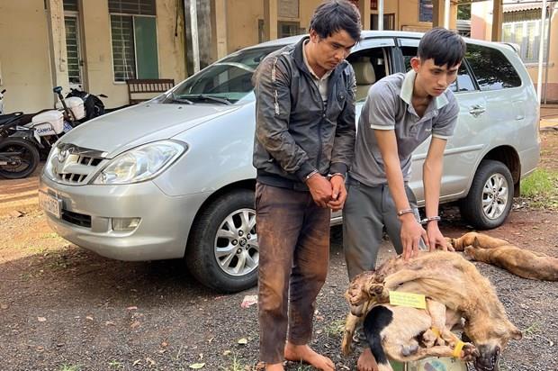 Bình Phước: Cảnh sát bắt giữ băng nhóm dùng ôtô đi trộm chó