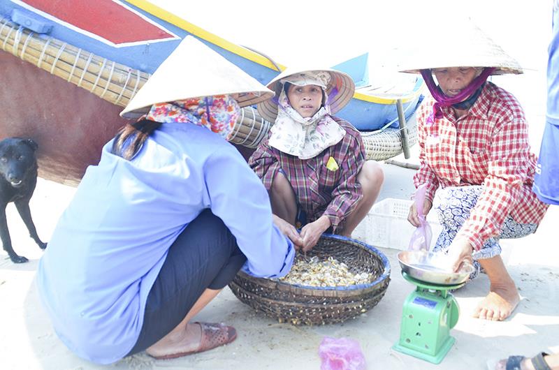Vĩnh Thái: tích cực chuyển đổi sinh kế cho ngư dân