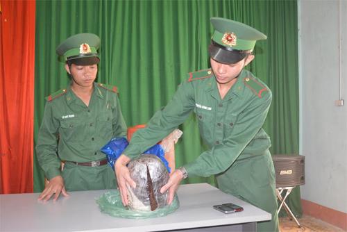 BĐBP Nghệ An bắt 2 đối tượng người nước ngoài vận chuyển 10kg thuốc phiện qua biên giới