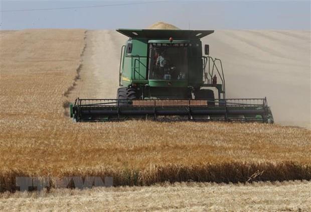 Nga chỉ ra các tuyến đường thay thế để xuất khẩu ngũ cốc của Ukraine