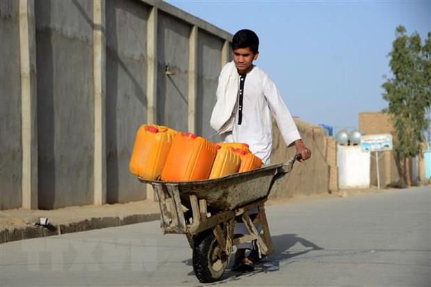 Ngân hàng Thế giới nối lại triển khai 3 dự án tại Afghanistan