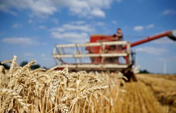 Nga giám sát hoạt động xuất khẩu lương thực sang các nước 'thù địch'